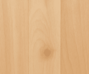 Beech