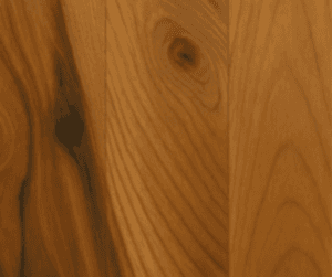 Elm