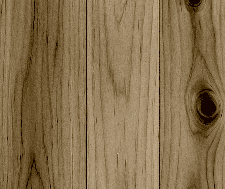 Poplar